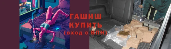 прущие грибы Абинск
