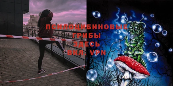 МДПВ Абдулино