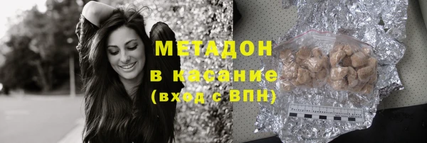 прущие грибы Абинск