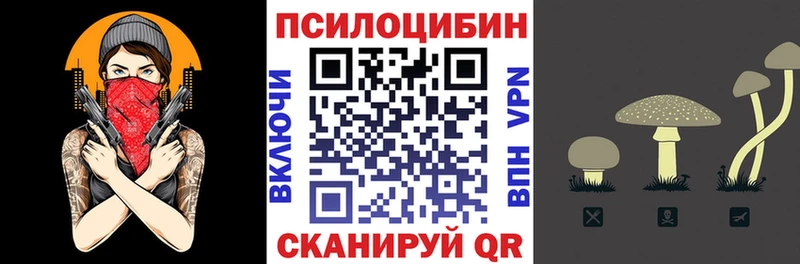 Псилоцибиновые грибы Psilocybe  Дербент 